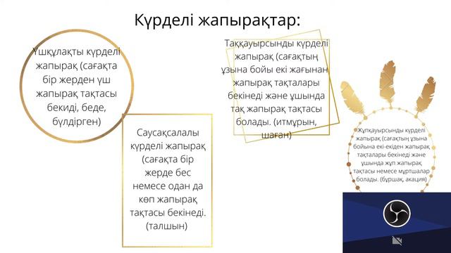 ЖАПЫРАҚТЫҢ ҚҰРЫЛЫСЫ МЕН ҚЫЗМЕТІ. смотреть онлайн