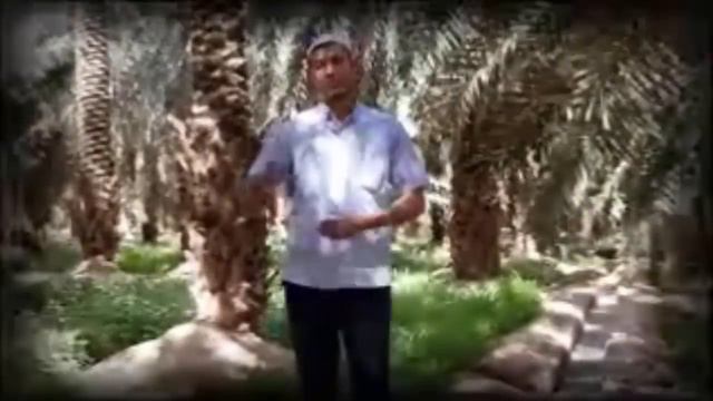 Жаннатдаги хурмо - Абдулазиз домла | Jannatdagi xurmo - Abdulaziz domla | смотреть онлайн