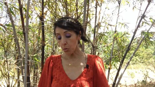 May 2021 New Moon & Lunar Eclipse✨ Energy Update & Oracle card reading ? Wednesday Whispers смотреть онлайн