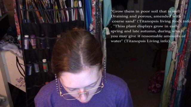 Titanopsis Variegata Living Rock смотреть онлайн