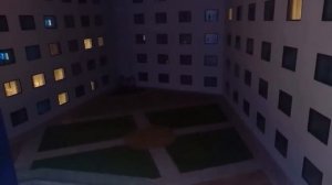 12 Аномальных КОШЕК Закулисья - Собери коллекцию стань... перезолив с ютуба