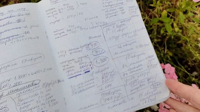 Торговля излишками ЛПХ на дому. Заработали 15 000 рублей или даже больше! смотреть онлайн