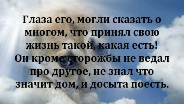 Память о Малыше ( Стихи и оформление Инна Разумовская - история из моей жизни ) смотреть онлайн