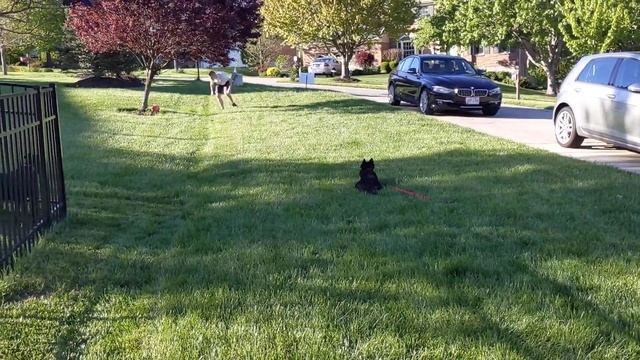 Отдыхаем дома на 1 мая в США ?? смотреть онлайн