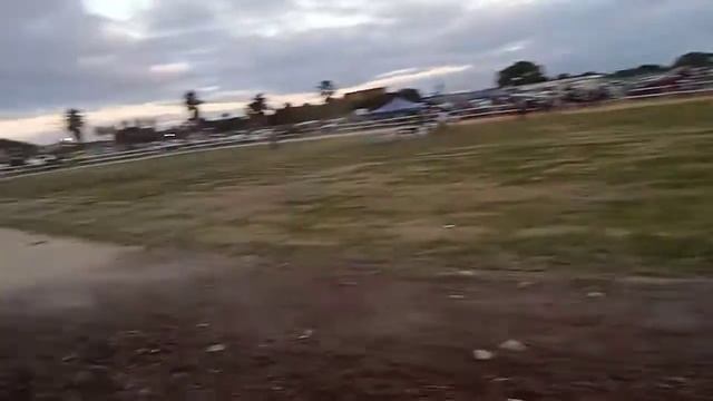 Hackney pony championship смотреть онлайн