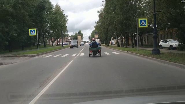 Гатчина. Муравей , редкий зверь для нашего региона. смотреть онлайн