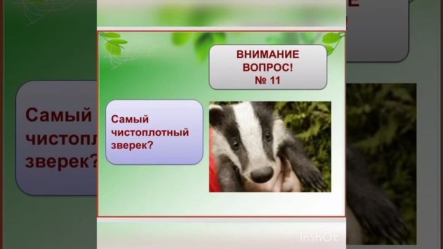 «Мы - друзья природы» смотреть онлайн