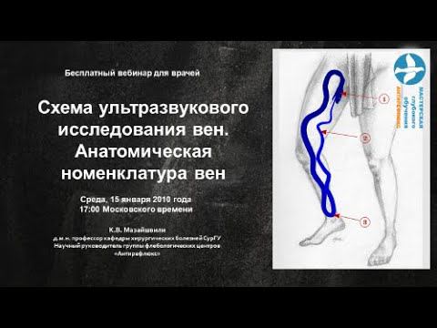 Вебинар Схема ультразвукового исследования вен. Анатомическая номенклатура вен нижних конечностей смотреть онлайн