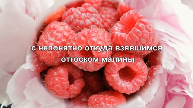 Brocard Сады Соблазна. Любовь.Обзор аромата смотреть онлайн