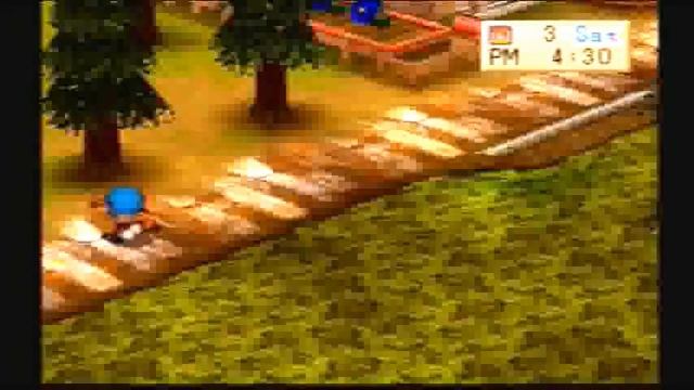 Harvest Moon - Back To Nature Tips and Tricks смотреть онлайн