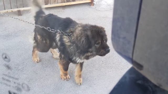 Екатеринбург - выгрузился и снова попал на ремонт! смотреть онлайн