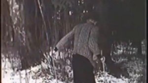 Антон лапенко