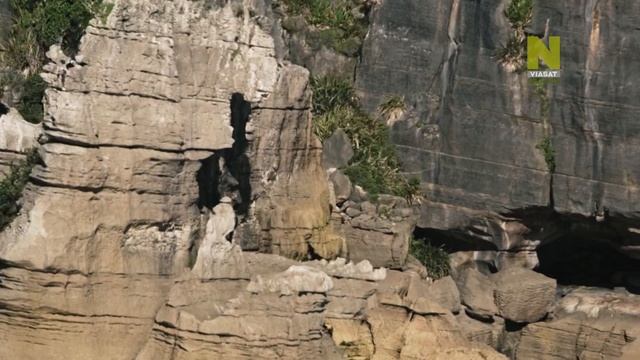 Очаровательная (Дикая) Новая Зеландия / Fascinating New Zealand серия 1 Сокровища Южного Острова смотреть онлайн