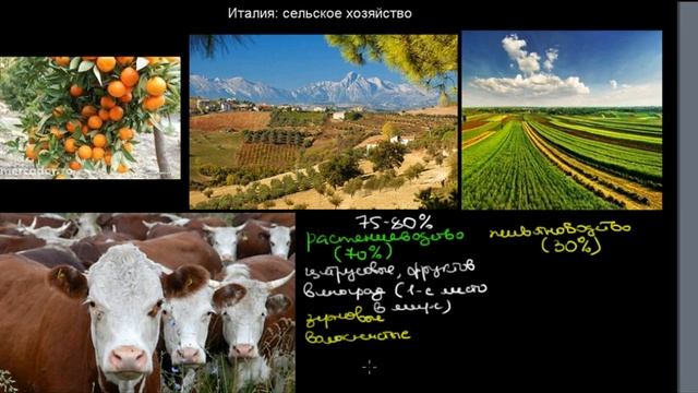 451 Италия сельское хозяйство смотреть онлайн