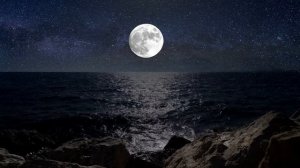 Медитация Покоя ? Буддистская Медитация Покоя ✨ Михаил Гинзбург