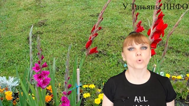 ТОНКОСТИ и СЕКРЕТЫ выращивания ГЛАДИОЛУСОВ !!! смотреть онлайн