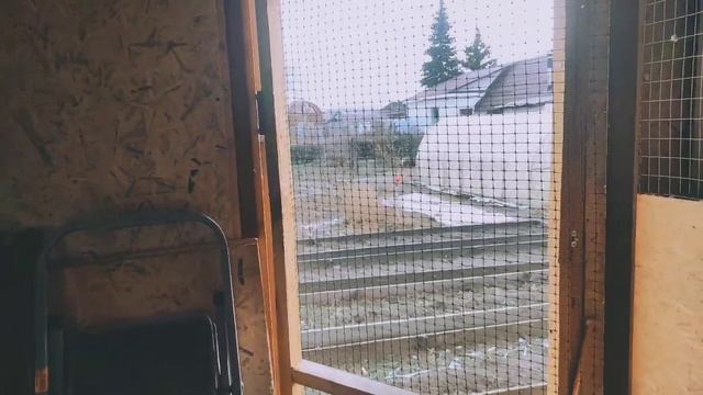 Голубятня смотреть онлайн