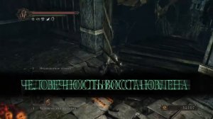 ПОВЕЛИТЕЛИ СКЕЛЕТОВ ᛝ DARK SOULS II Scholar of the First Sin #7