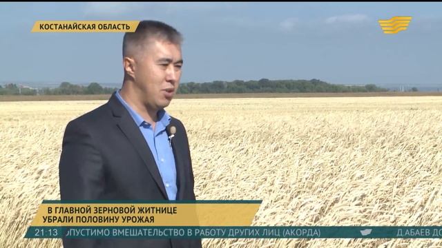 В Костанайской области убрали половину площадей зерновых смотреть онлайн