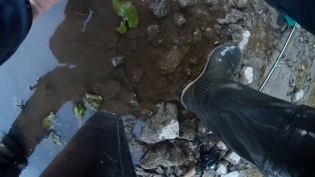 Веселая ловля на джерк смотреть онлайн