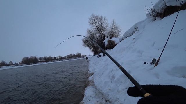 ПОЙМАЛ МЕШОК РЫБЫ НА МОСКВА РЕКЕ, это лучшая приманка смотреть онлайн