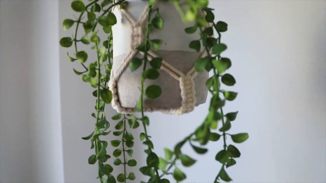 Miljive Macrame Plant Hangers Product Video смотреть онлайн