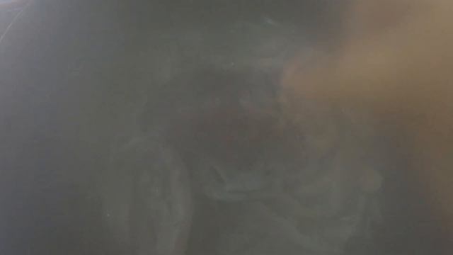 ЖАРЕНЫЕ ГРИБЫ ВЕШЕНКИ / ОЧЕНЬ ЛЕГКИЙ РЕЦЕПТ ОТ МУЖА смотреть онлайн