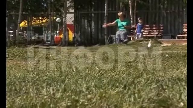 29.07.2016 Проблема детских площадок смотреть онлайн