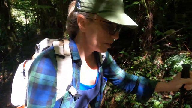 Costa Rica's BEST Wild Plant Hike | Tapantí National Park