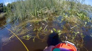 Ловим рыбу ПАЛКОЙ!!!