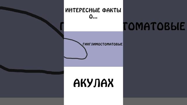 "Интересный факт об Акулах" #шортс #животные #акула #академияброкколи #анимация смотреть онлайн