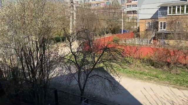 Выпуск домового воробья смотреть онлайн