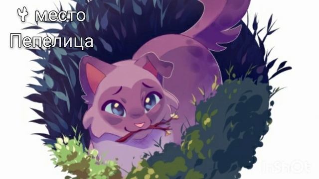 ТОП 5 ЦЕЛИТЕЛЕЙ/КОТЫ-ВОИТЕЛИ смотреть онлайн