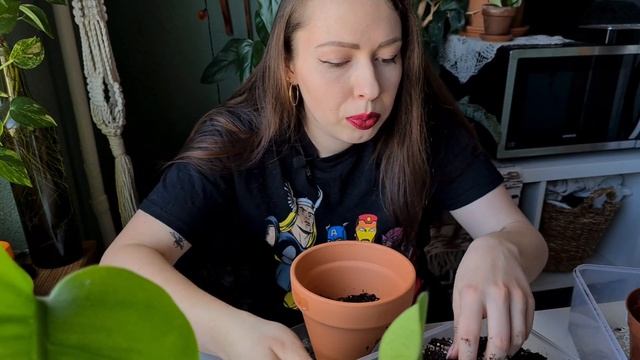 Repot with me - var. Monstera, Hoya Macrophylla albo + couple days in my life смотреть онлайн