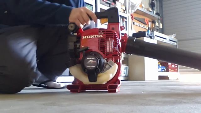 Honda HHB25 Leaf Blower , a year later смотреть онлайн