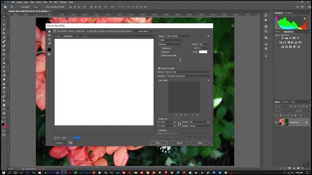 300 DPI export The Video смотреть онлайн