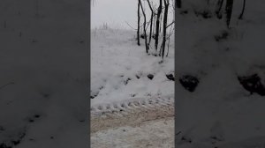 Hyundai H-1 / Grand Starex в гору зимой. На заднем приводе без проблем!!