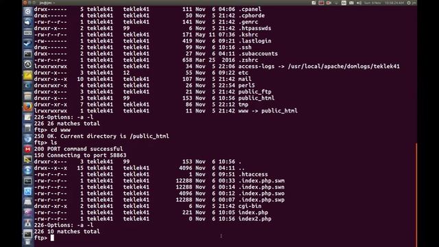 TerminalLab: Delete files from your ftp server смотреть онлайн