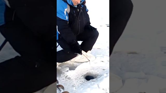 Рыбак на Финском заливе смотреть онлайн