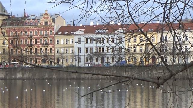 #141 Стрелецкий остров в Праге смотреть онлайн