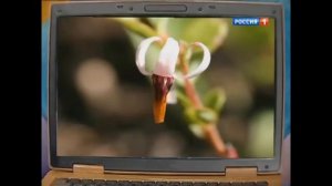 Спокойной ночи малыши выпуск от 2013 01 15   Степашка весесится