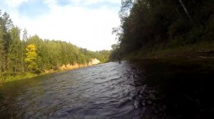 Нахлыст , хариус на нимфу.