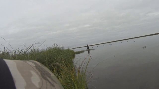 Охота на утку. Первые утки осеннего сезона 2019. смотреть онлайн