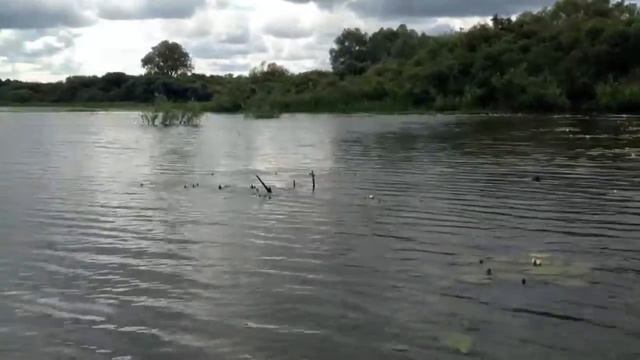 Елатьма смотреть онлайн