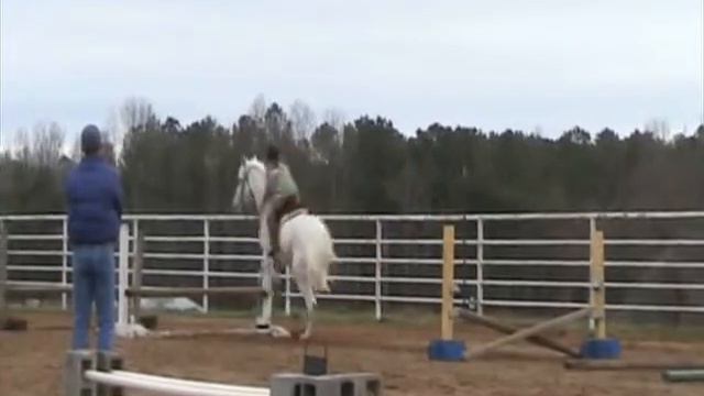 Jumping Clinic смотреть онлайн