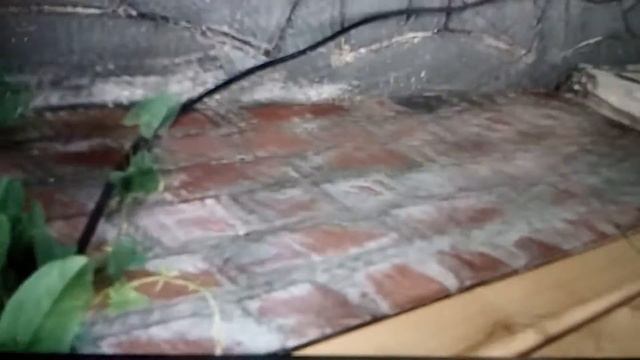 24 часа в Мерседесе финал смотреть онлайн