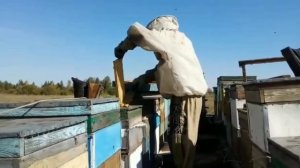 Прицепы для перевозки ульев. Крепление ульев.