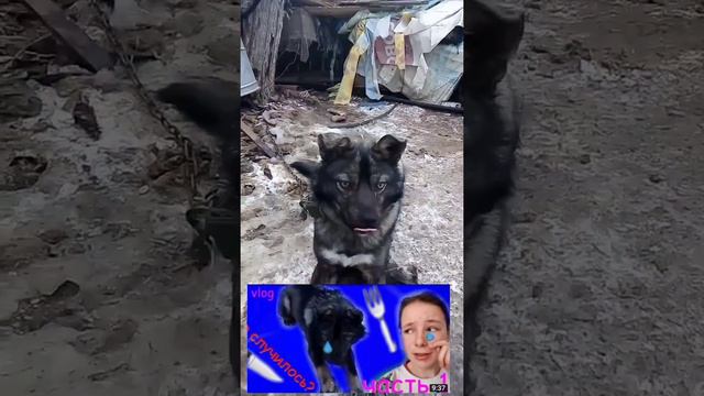 26 февраля 2022 г. смотреть онлайн