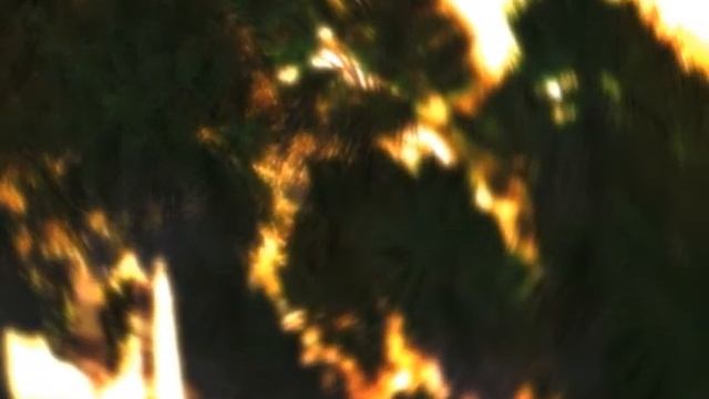 After Effects + Vue - Moving Foliage 2 смотреть онлайн