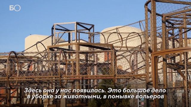 «Сердце Африки» в Казани: чем удивит новый зоопарк «Река Замбези»? смотреть онлайн